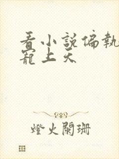 看小说偏执大佬宠上天封面