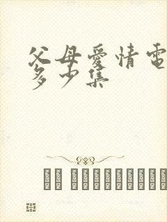 父母爱情电视剧多少集