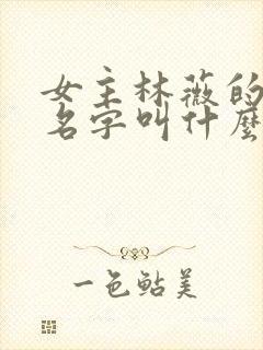 女主林薇的小说名字叫什么