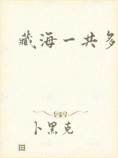 藏海一共多少集