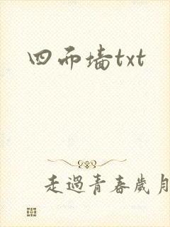 四面墙txt