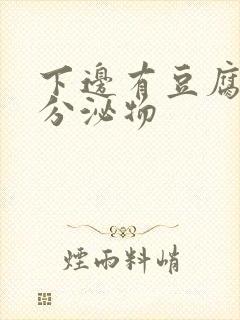 下边有豆腐渣的分泌物封面