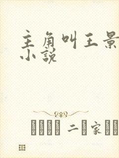 主角叫王景硕的小说