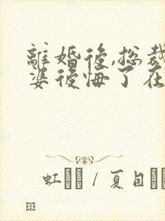 离婚后,总裁老婆后悔了在线阅读封面