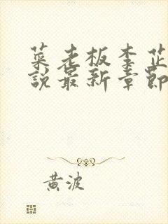 菜老板李芷珊小说最新章节