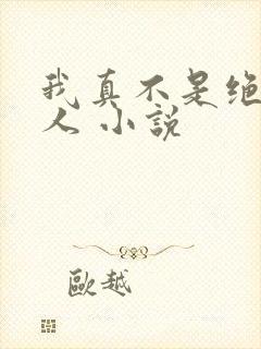 我真不是绝世高人 小说