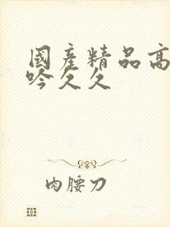 国产精品高潮呻吟久久封面