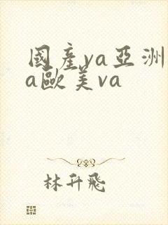 国产va亚洲va欧美va
