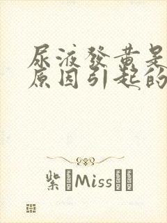 尿液发黄是什么原因引起的封面