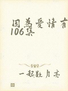 因为爱情有多美106集