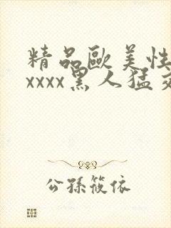 精品欧美性猛交xxxx黑人猛交