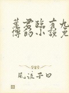 叶君临有九个师傅的小说免费封面