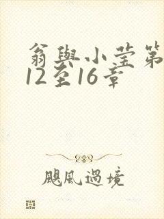 翁与小莹第十部12至16章