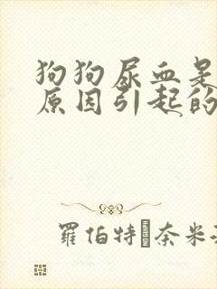 狗狗尿血是什么原因引起的