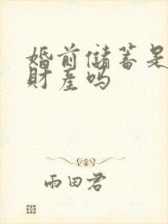 婚前储蓄是婚前财产吗