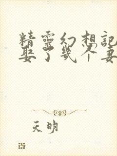 精灵幻想记原著娶了几个妻子