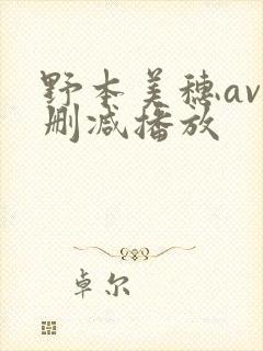 野本美穗av无删减播放封面