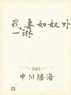 我妻如奴外传——琳