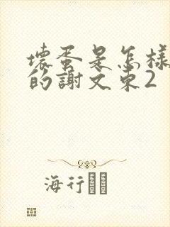 坏蛋是怎样炼成的谢文东2