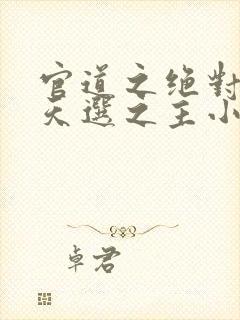 官道之绝对权力天选之主小说完本