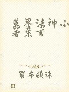 万界法神小说原著叶玄