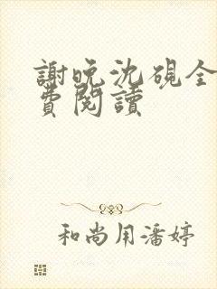 谢晚沈砚全文免费阅读封面