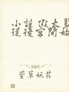 小说 假太监:从后宫开始