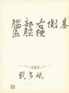 脑部右侧基底节区腔梗封面