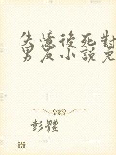 失忆后死对头成男友小说免费阅读