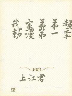 我家弟弟超厉害动漫第一季免费观看