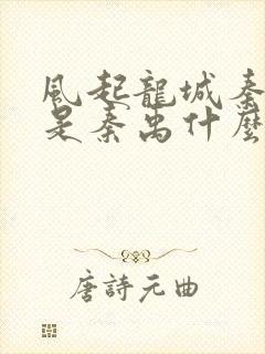 风起龙城秦子沫是秦禹什么人封面