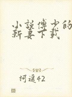 小说傅少的哑巴新妻下载