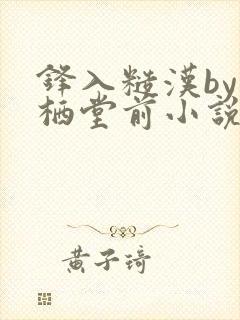 锋入糙汉by凤栖堂前小说全文无删减txt