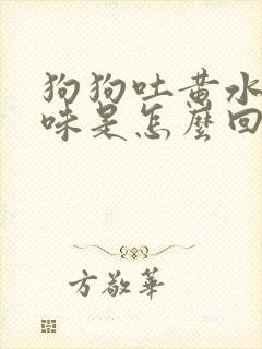 狗狗吐黄水有腥味是怎么回事