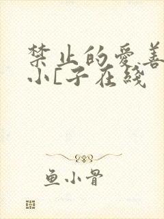 禁止的爱善良的小[子在线