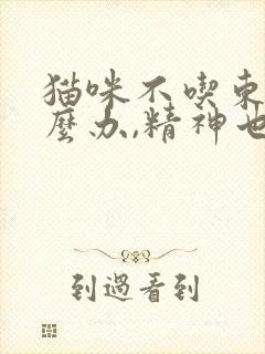 猫咪不吃东西怎么办,精神也不好