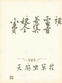 小娘惹电视剧免费全集看