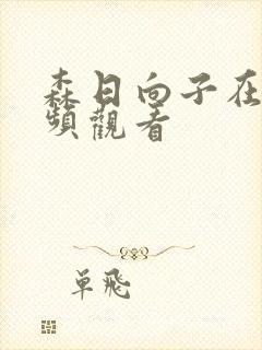 森日向子在线视频观看