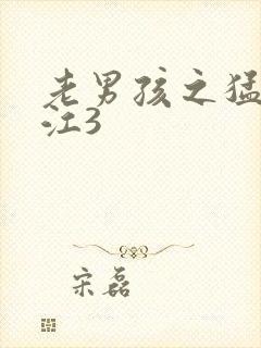 老男孩之猛龙过江3