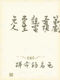 免费观看第二次人生电视剧