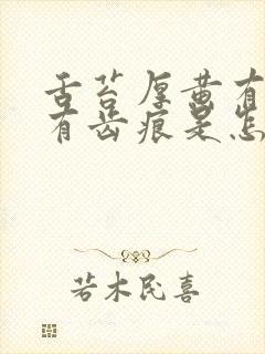 舌苔厚黄有裂纹有齿痕是怎么回事