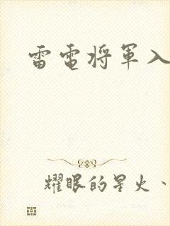 雷电将军入夜狂