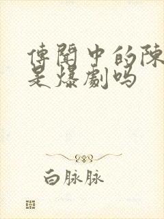 传闻中的陈芊芊是爆剧吗