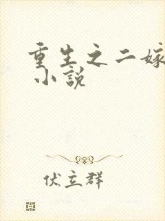 重生之二嫁太子 小说封面