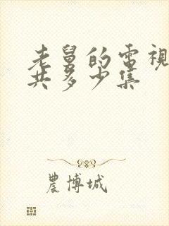 老舅的电视剧一共多少集