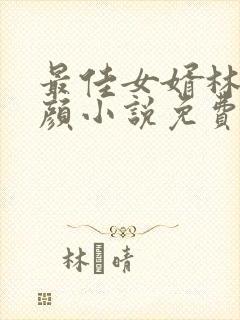 最佳女婿林羽江颜小说免费读