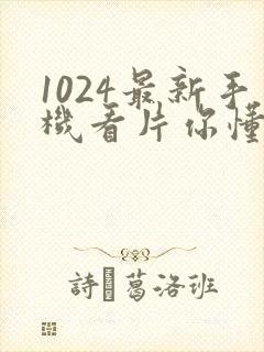 1024最新手机看片你懂的封面