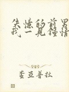 失忆的前男友对我一见钟情