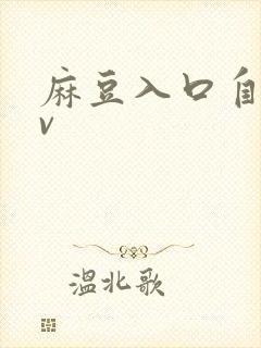 麻豆入口自拍av