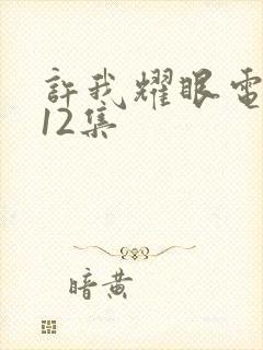 许我耀眼电视剧12集